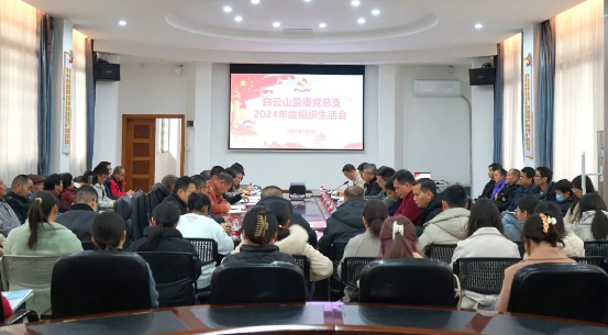 紅臉出汗強黨性，凝心聚力促發展 | 白云山盈康黨總支召開2024年度組織生活會